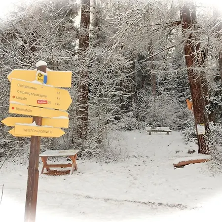 Apartman Alpina Oetztal Sautens