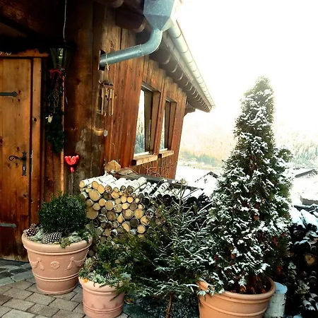 Apartmán Alpina Oetztal